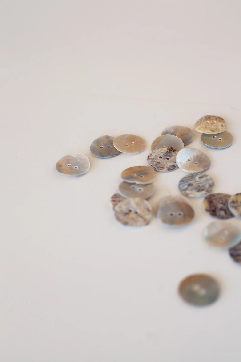 Antique seashell buttons