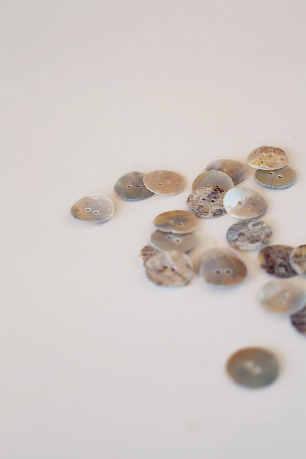 Antique seashell buttons