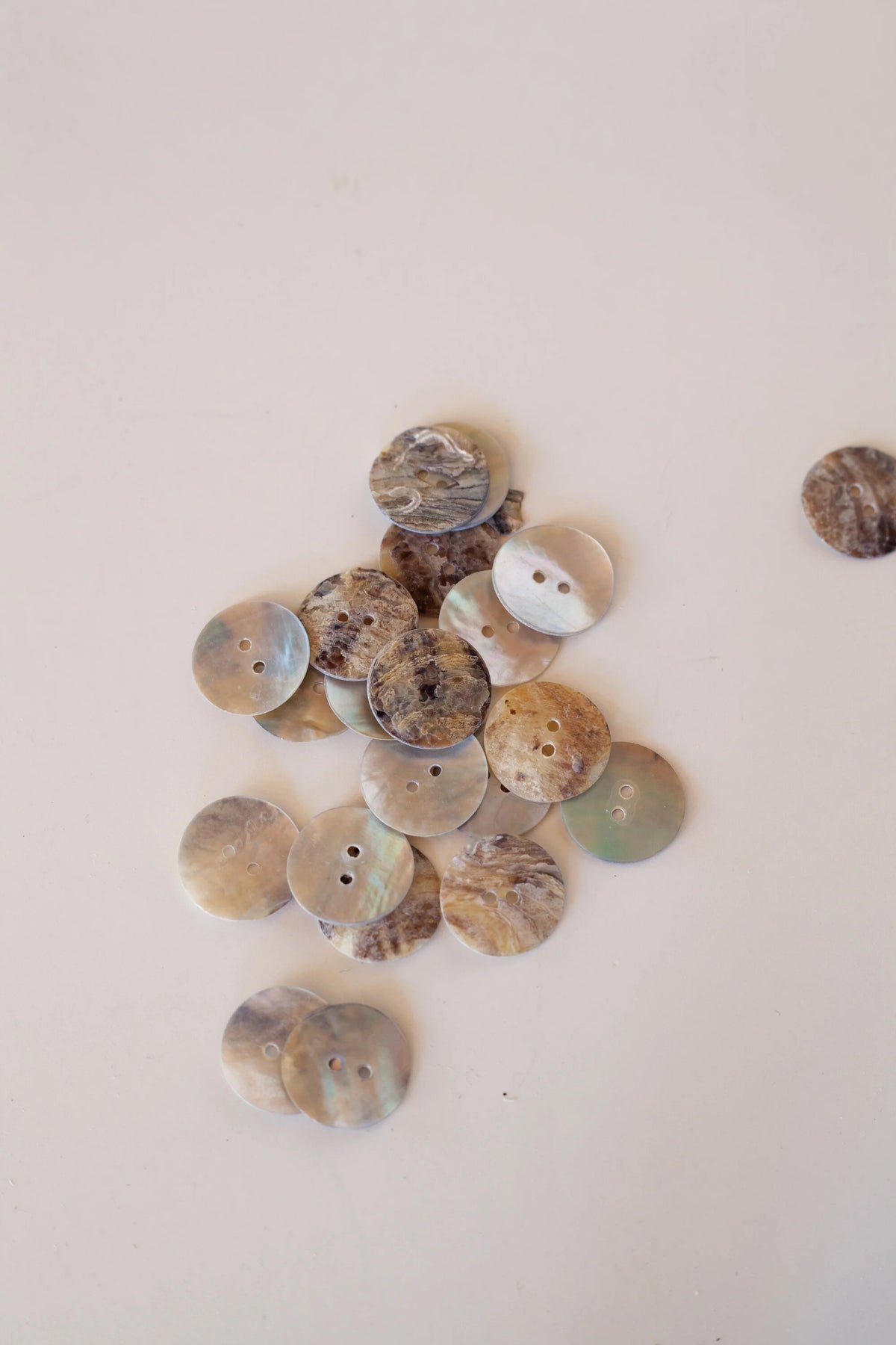 Antique seashell buttons