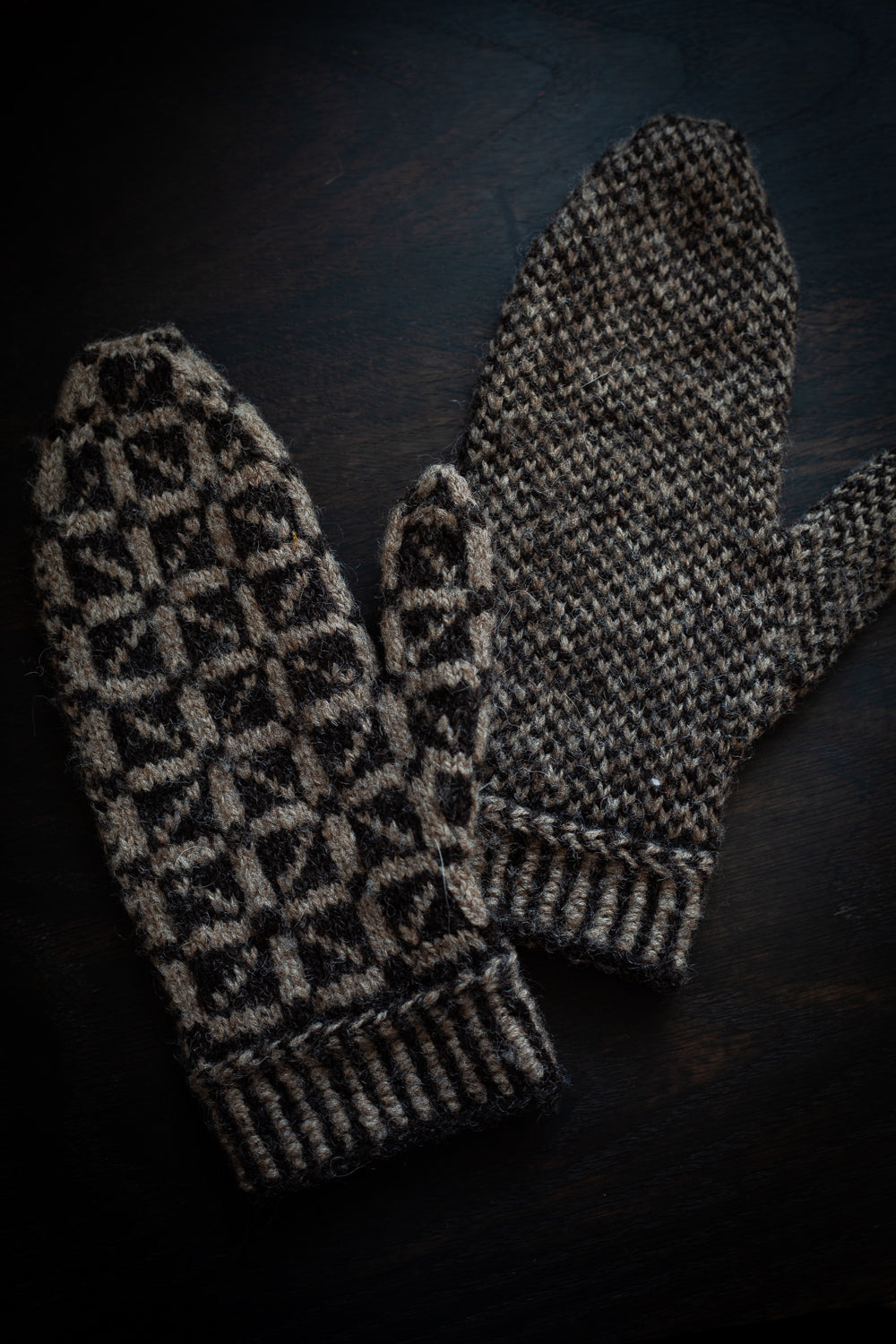 Cosmos Mittens - knitting pattern