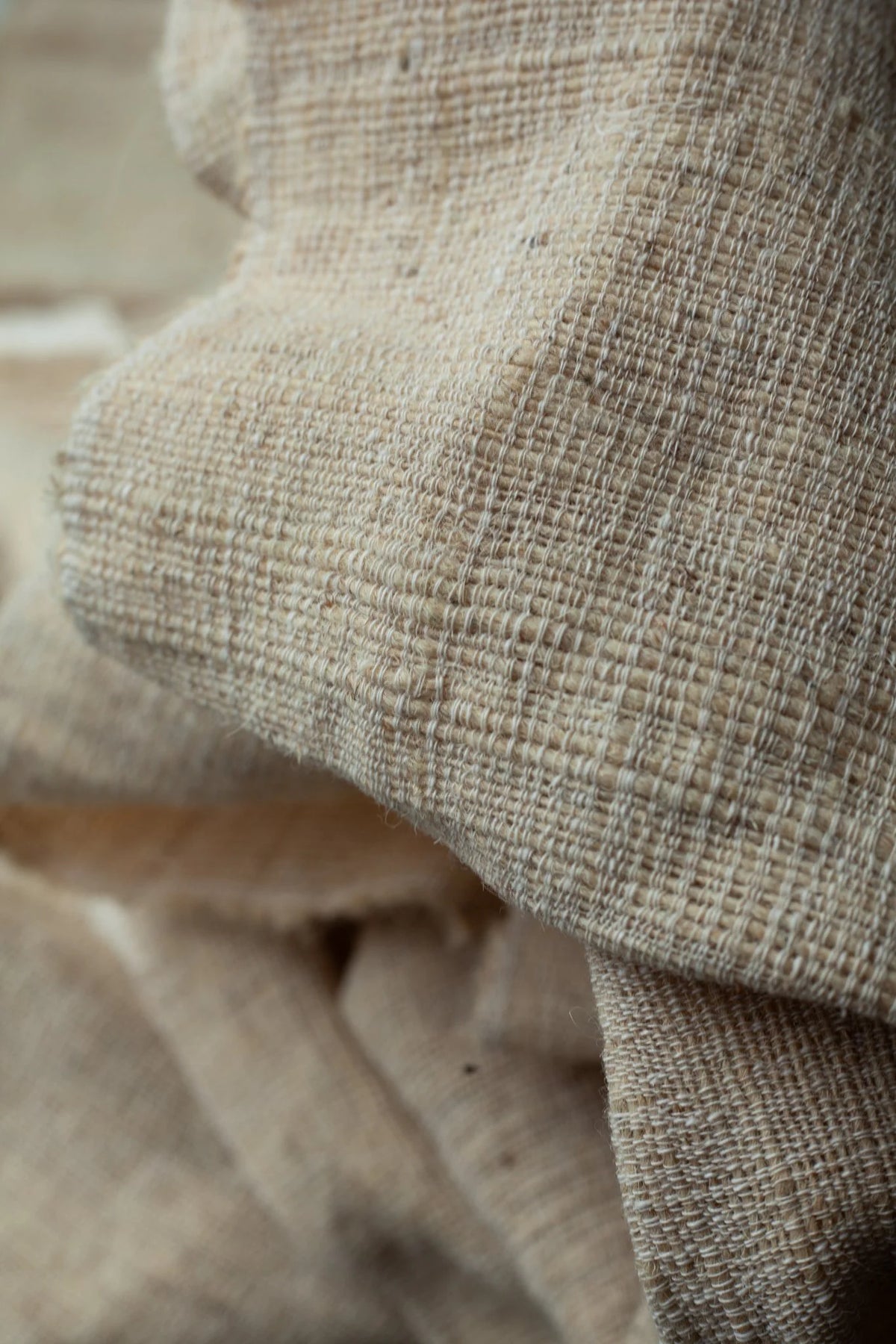 Desi Wool