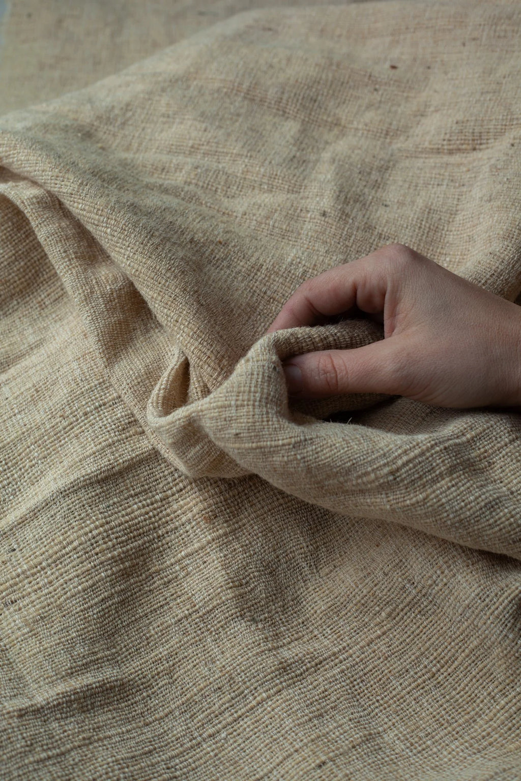 Desi Wool