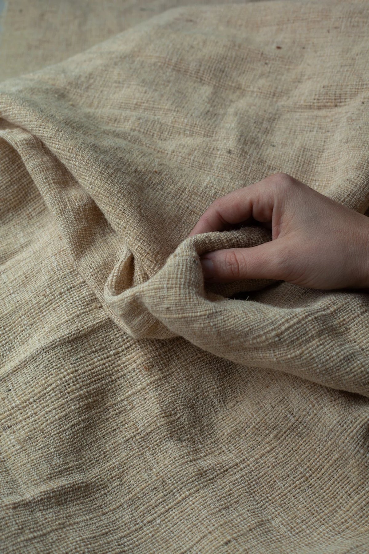 Desi Wool